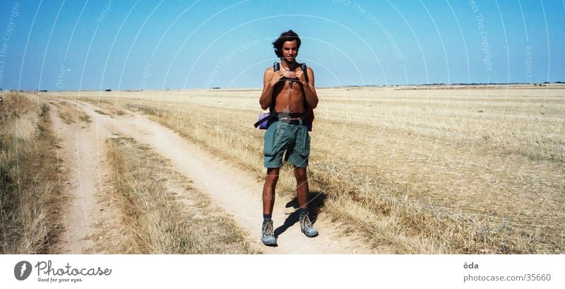 me wandern Rucksack Ausdauer Einsamkeit Steppe Dürre Mann Himmel Landschaft Wege & Pfade Ferne Stoppelland Jakobsweg