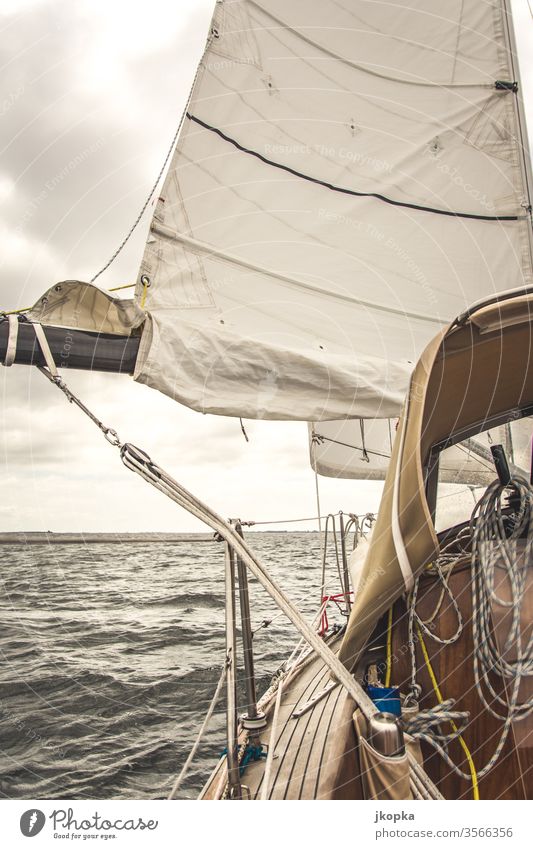 Segel hoch auf der Ostsee Segeln Boot Yacht Jacht Segelboot Abenteuer Wasser Urlaub Schiff nautisch Nautisches Reisen Segelschiff Schiffsplanken Klassik