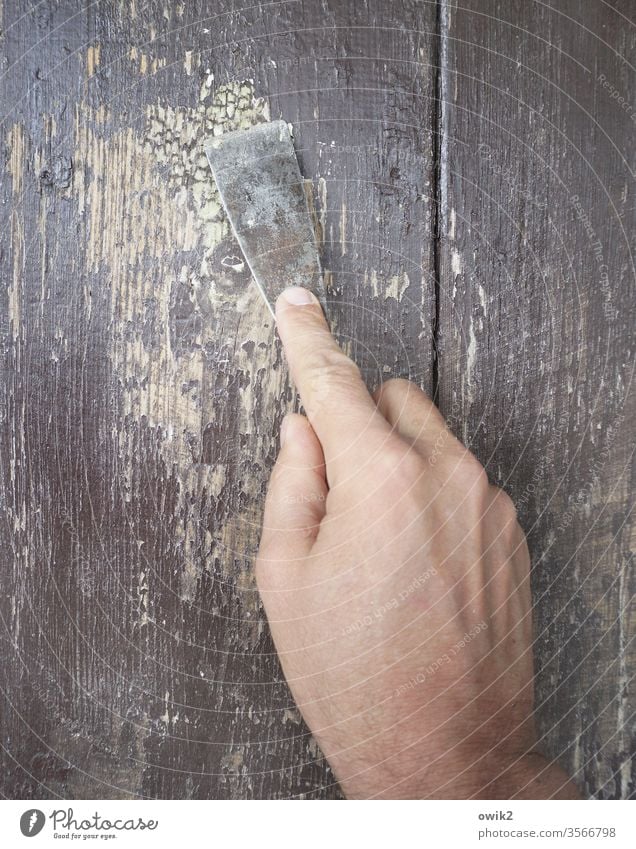 Einkratzen Hand Finger Farbfoto Nahaufnahme Arbeit & Erwerbstätigkeit Tür Farbe abkratzen Spachtel Holz Metall fleißig emsig unermüdlich Geduld Ausdauer