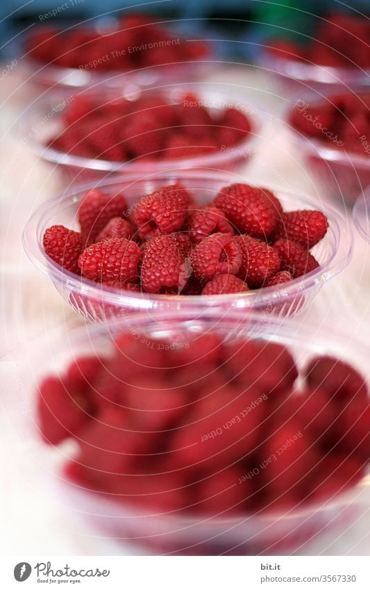 Viele runde Schalen aus Plastik, mit roten, gesunden, frischen, gepflückten Himbeeren, stehen auf einem Tisch vom Markt, in Portionen verteilt zum Verkauf bereit. Nach der Ernte werden reife Beeren vom Bauer am Marktstand verkauft.