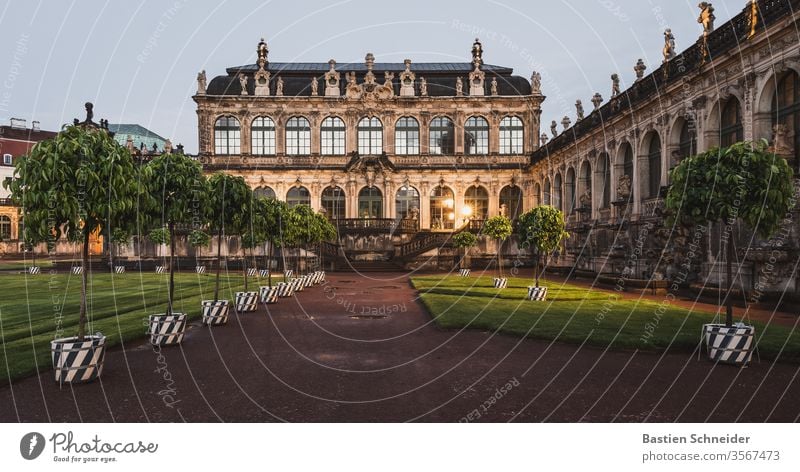 Die Orangenbäume am Dresdner Zwinger sind wieder da. Sie stehen für Wohlstand. Altstadt Dresden Sachsen historisch Kultur Stadt Sehenswürdigkeit Deutschland