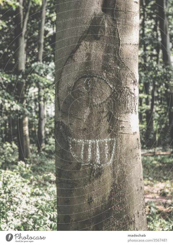 Zyklop zyklop Auge blick Baum Natur Baumstamm Gesicht lustig lachen grinsen Porträt Wald Freude Mund Blick Fröhlichkeit Farbfoto Scherz