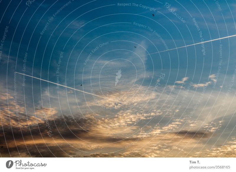 Himmel über Berlin Kondensstreifen blau Flugzeug Luftverkehr Wolken Ferien & Urlaub & Reisen fliegen Passagierflugzeug Farbfoto Außenaufnahme Tourismus