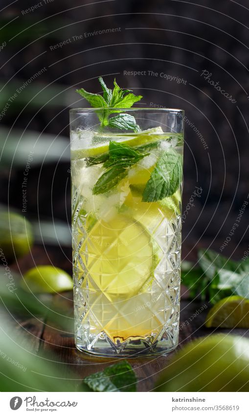 Hausgemachter erfrischender Mojito-Cocktail in einem hohen Glas Mocktail Minze Kalk Caipiroska Caipirinha Limonade Getränk trinken Blatt Alkohol Zitrusfrüchte