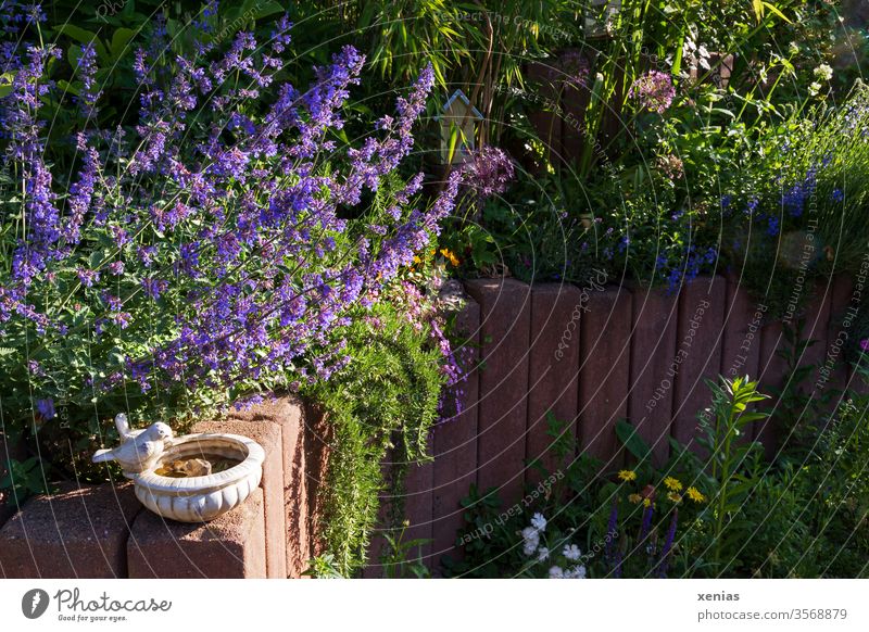 Gartenbild mit Vogeltränke, violetter Katzenminze und rötlicher Palisade aus Stein Natur Sommer Blüte Pflanze Leben Häusliches Leben Bambus Gartenzaun xenias