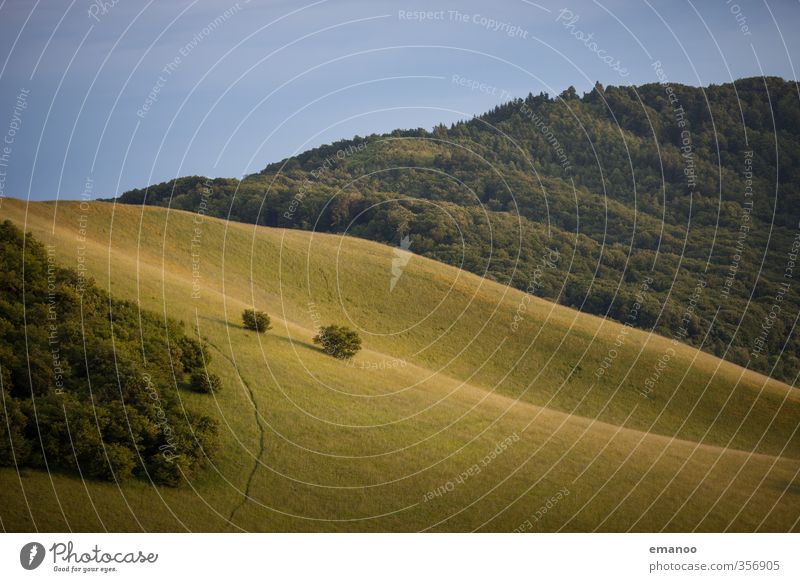 Kaiserstuhl Ferien & Urlaub & Reisen Ausflug Sommer Berge u. Gebirge wandern Umwelt Natur Landschaft Pflanze Himmel Klima Wetter Baum Gras Sträucher Wiese Wald