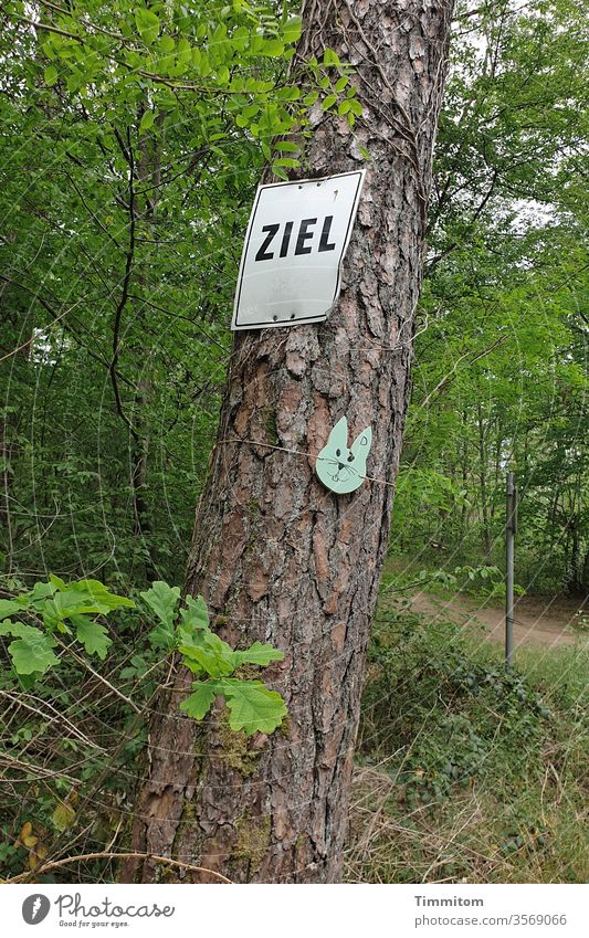 Ziel in Sicht Schilder & Markierungen Beschriftung Buchstaben Baum Wald Weg Hasenohren Spaß haben Bewegung Schriftzeichen Menschenleer Hinweisschild