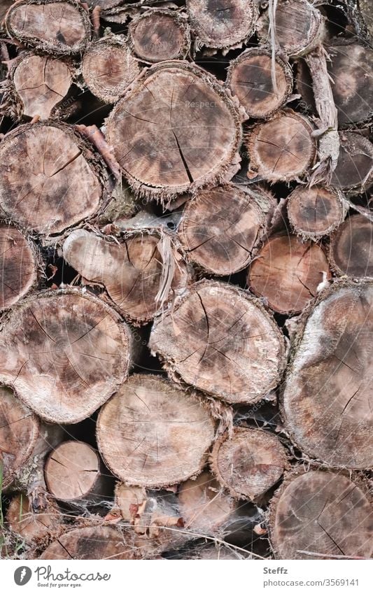 Brennholzvorrat mit Holzgeruch Energiekrise Holzstapel Brennstoff altes Holz Vorrat trockenes Holz trockenes Brennholz Notvorrat Baumstämme Holzstruktur