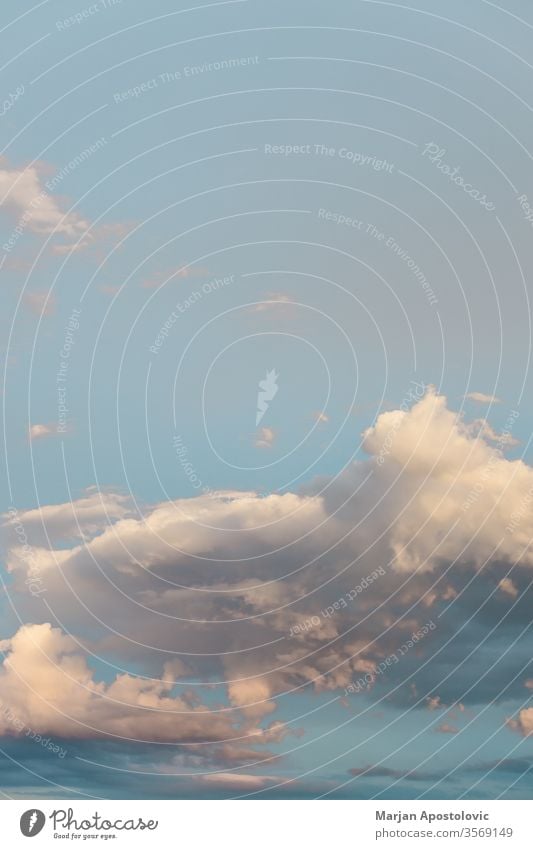 Blick auf den bewölkten Himmel im Frühling abstrakt Air Atmosphäre Hintergrund schön blau hell Windstille Klima Cloud Wolken Wolkenlandschaft wolkig Konzept