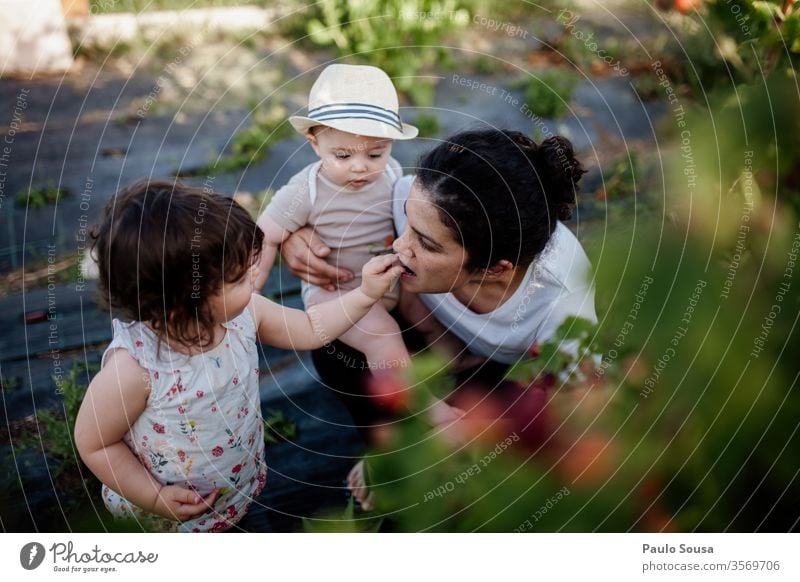 Tochter gibt der Mutter Brombeeren Familie & Verwandtschaft Geschwister 3-8 Jahre Kind Kindheit Farbfoto Mensch Mädchen Zusammensein Junge Bruder 2 Kleinkind