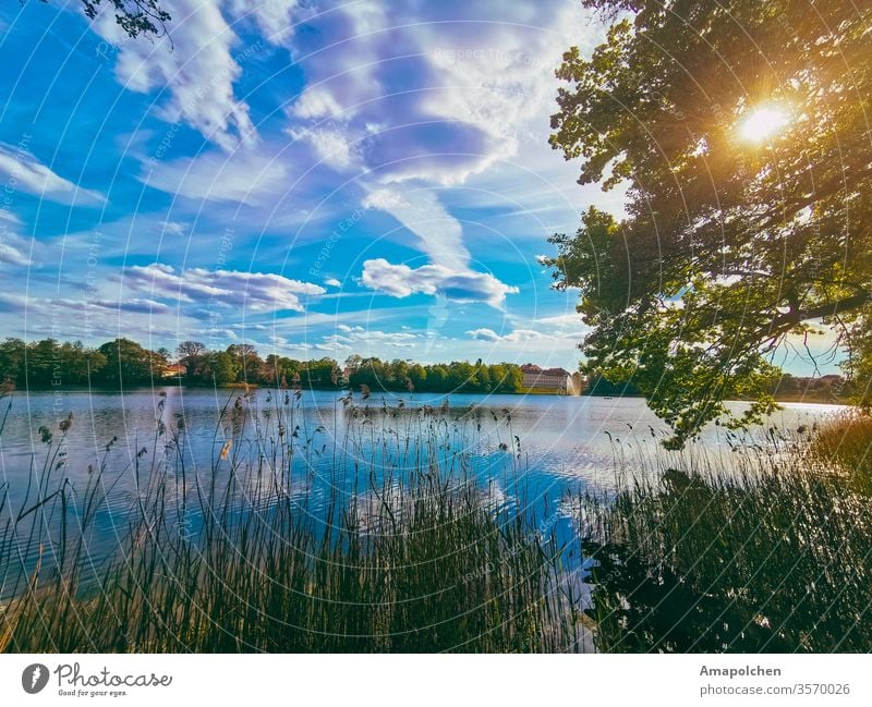 Seeufer Wasser Sonnenuntergang Wolken Horizont Himmel Reflexion & Spiegelung Abenddämmerung Sommer Dämmerung Natur Außenaufnahme Sonnenlicht Idylle