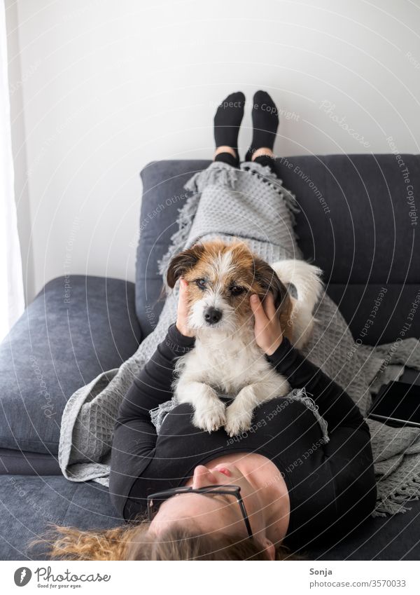 Junge Frau liegt auf dem Rücken und streichelt einen kleinen Terrier Hund auf einem grauen Sofa Dschungel streicheln Freundschaft liebe Haustier Tier Blick