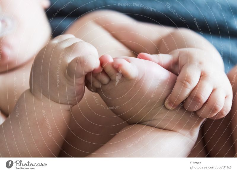 Porträt eines bezaubernden liegenden Babys babycare Säuglingsalter schön Schönheit Junge Pflege Kaukasier Kind Kinderbetreuung Kindheit Nahaufnahme niedlich