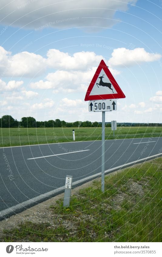 Verkehrszeichen Wildwechsel 500 m auf Landstraße Verkehrsschild Außenaufnahme Farbfoto Tag Natur Straße Verkehrswege Schilder & Markierungen Straßenverkehr