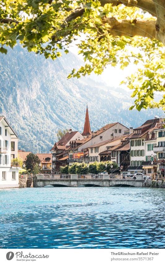 Blick auf Kirche in Interlaken (Schweiz) Tourismus Fluss Baum Außenaufnahme Farbfoto Menschenleer Tag Ferien & Urlaub & Reisen Ausflug Sommer Landschaft Berge