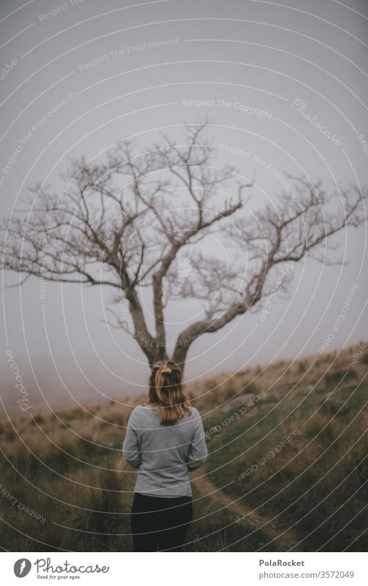 #As# Grey Day mystisch Landschaft Natur Außenaufnahme Farbfoto Wege & Pfade Neuseeland Landschaft erkunden spazierend Spazieren gehen spazierengehen laufen Baum