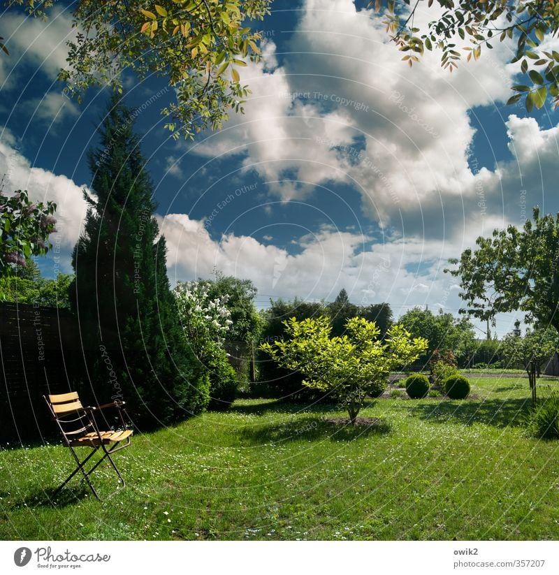 Im Garten Umwelt Natur Landschaft Pflanze Himmel Wolken Klima Wetter Schönes Wetter Baum Gras Sträucher Grünpflanze Klappstuhl Gartenstuhl Holz Erholung