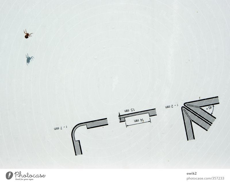 Fremdwohner Technik & Technologie Technische Zeichnung Konstruktion planen Ecke Maßeinheit Linie Strukturen & Formen Ziffern & Zahlen Tier Spinne 1 Bewegung