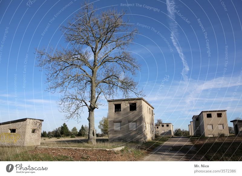 das tote Dorf Gebäude Haus Baum Architektur Geisterstadt Einsamkeit verfallen Unbewohnt heimatlos Flucht Kleinstadt Ruhe Hütte Truppenübungsplatz verlassen