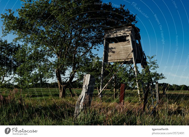 Jagdkanzel im Abendlicht Hochsitz Landschaft Jäger Farbfoto Holz Außenaufnahme Feld Ansitz Abenddämmerung Baum grün Natur Menschenleer