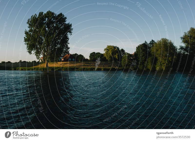 Abendstimmung an der Ems bei Papenburg Wasser Eiche Sonnenlicht Sonnenuntergang Außenaufnahme Dämmerung Farbfoto Stimmung Menschenleer Landschaft ruhig