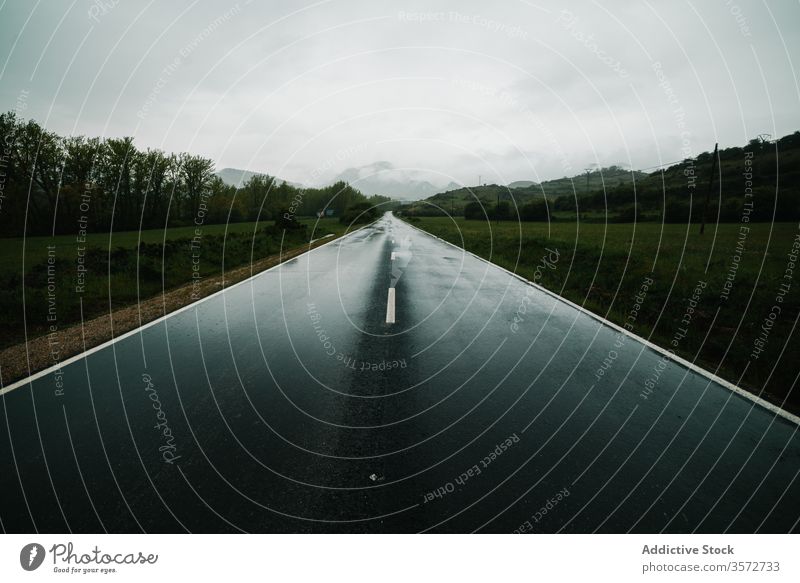 Landstraße in gebirgigem Gelände mit grünem Wald Straße Landschaft Feld Berge u. Gebirge Windschutzscheibe Sommer Natur Laufwerk PKW Tal Geschwindigkeit Regie