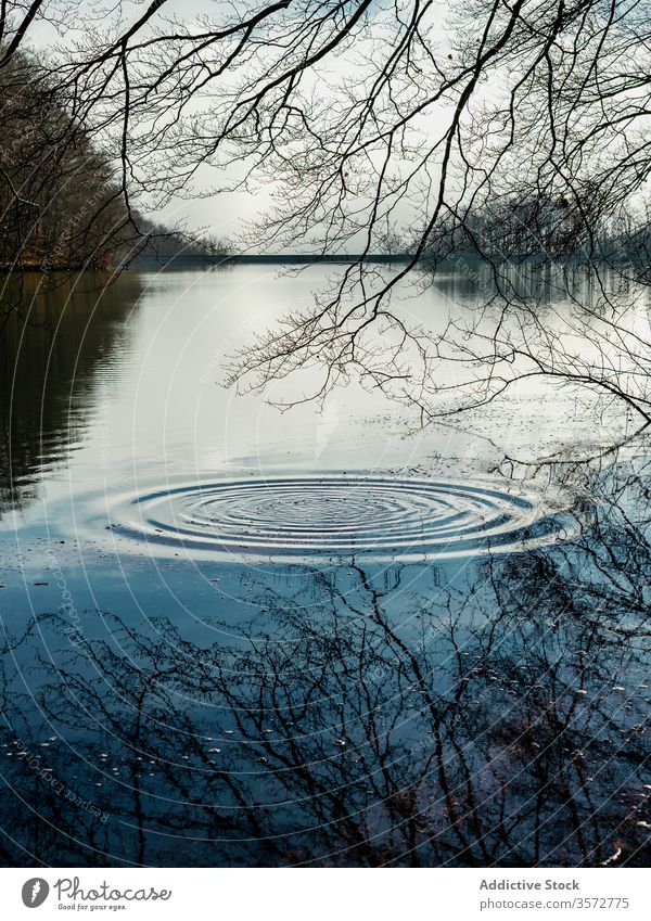 Plätscherndes Wasser eines Sees im Wald Rippeln kreisen Landschaft laublos bedeckt Teich Natur Montseny-Massiv Spanien Baum Reflexion & Spiegelung malerisch