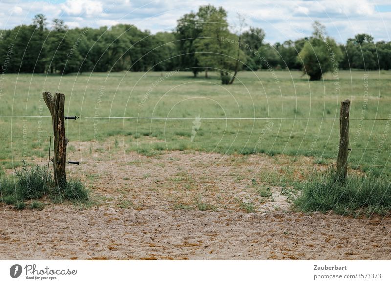 Grüne Weide, Band zwischen den Holzpfählen eines elektrischen Weidezauns, Sand, Wiese und Büsche Zaun Elektrozaun grün Feld Land Landwirtschaft Pfahl Holzpfahl