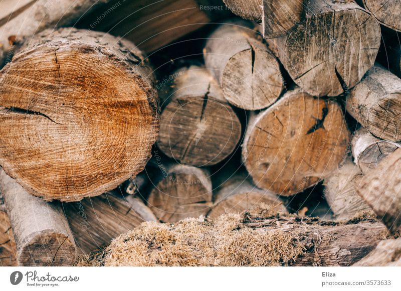 Gestapelte Holzscheite als Feuerholz Vorrat zum Heizen im Winter gestapelt braun Brennholz Baumstamm Forstwirtschaft Außenaufnahme Holzstapel heizen Brennstoff