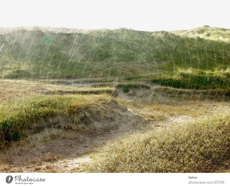 Dünen im Regen in Dänemark Stranddüne Abend Sand Sonne