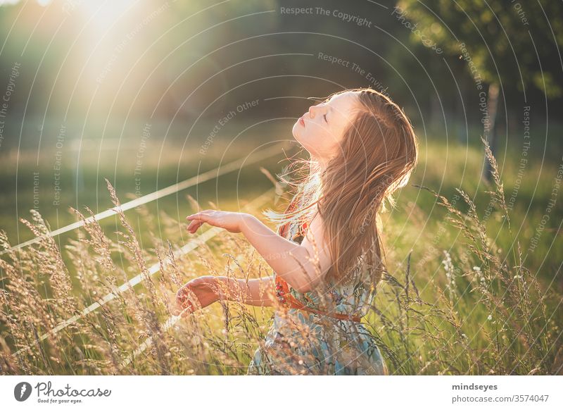 Mädchen tanzt in einer Sommerwiese gegenlicht tanzen Kindheit Sonne gras versunken hell sommerkleid blond mädchen natur glücklich spielen geniessen lichtspiel