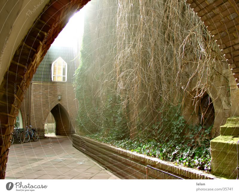 Innenhof in Bremen Zentrum Licht ruhig Architektur Tor friedlich