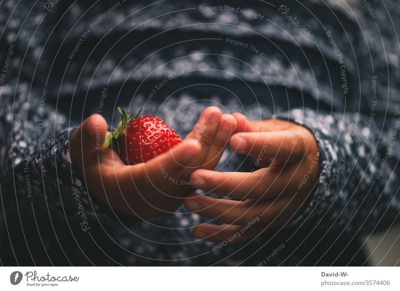 meine Erdbeere Mädchen Kind Erdbeeren festhalten rot saftig lecker Obst Gesunde Ernährung gesund Lebensmittel Frucht fruchtig Gesundheit Ernte Farbfoto frisch