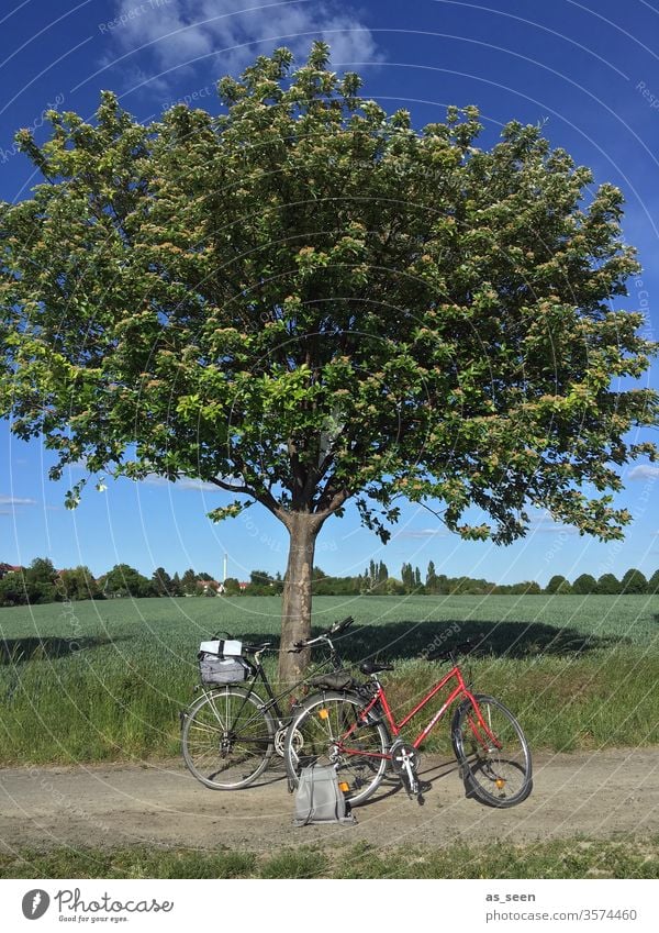 Radtour Fahrradtour Fahrräder Rucksack Rucksäcke Baum Felder Himmel Ausflug Fahrradfahren Außenaufnahme Tag Wege & Pfade Farbfoto Freizeit & Hobby Bewegung