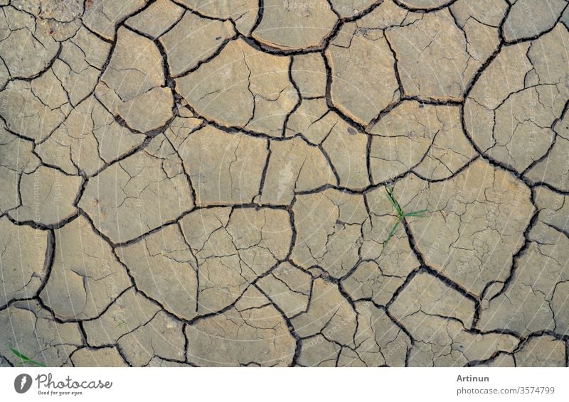 Klimawandel und Landtrockenheit. Wasserkrise. Trockenes Klima. Rissiger Boden. Globale Erwärmung. Umweltproblem. Naturkatastrophe. Trockener Bodentextur-Hintergrund. Trockene und rissige Haut braucht ein Feuchtigkeitskonzept.