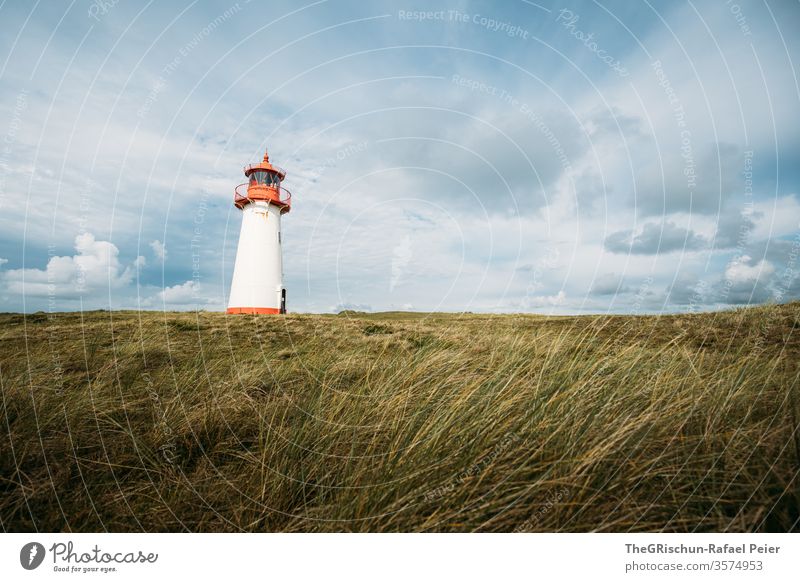 Leuchtturm auf Weide Sylt Urlaub Ferien & Urlaub & Reisen Himmel blau Deutschland ruhig erholsam Außenaufnahme Wolken Farbfoto Menschenleer Gras windig luftig