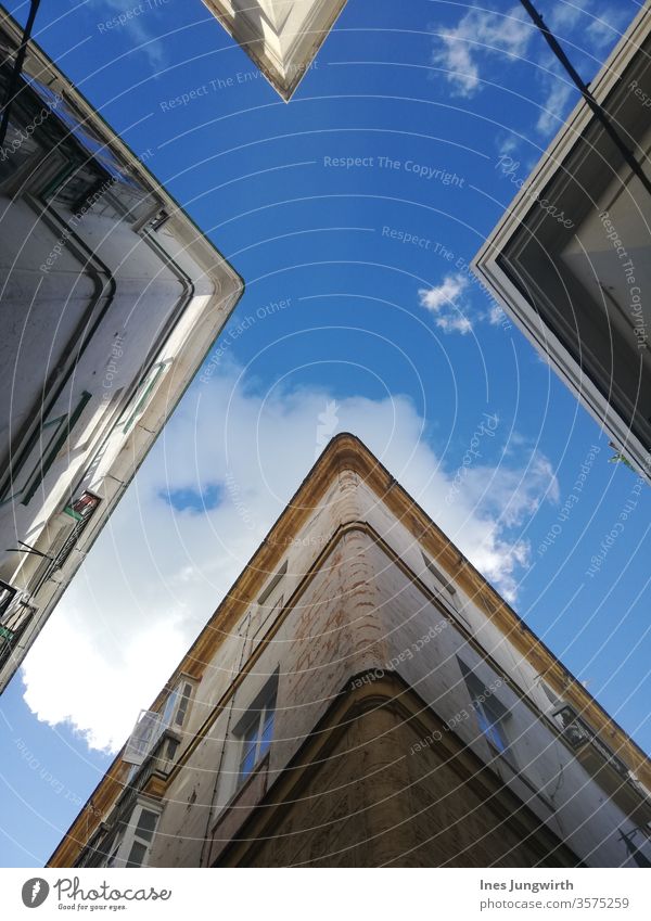 Perspektivenwechsel Himmel himmelblau Wolken Sommer Außenaufnahme Farbfoto Schönes Wetter Tag Blauer Himmel Froschperspektive Haus Mauer Fassade Stadthaus Wand