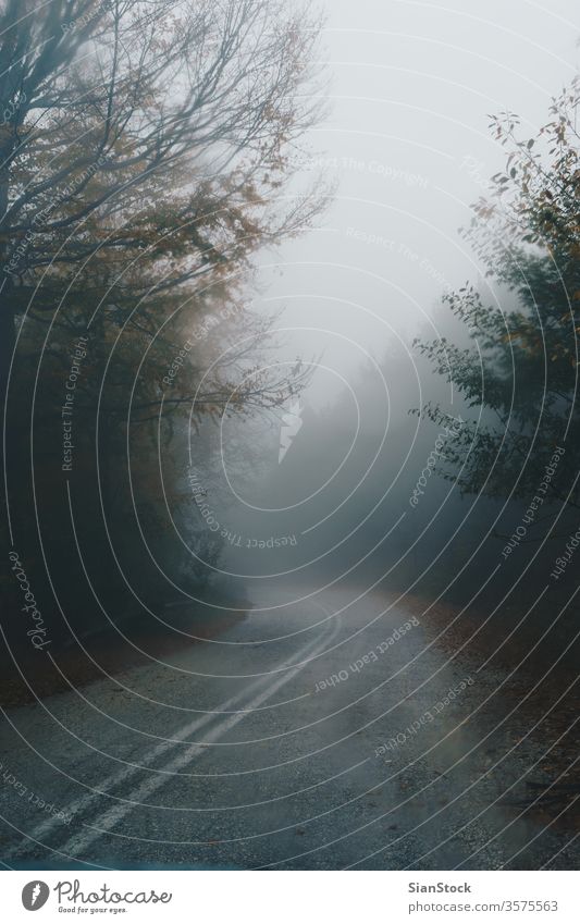 Herbstliche Landschaft, neblige Straße im Wald Nebel Natur Weg Griechenland evros Rodopi Baum Licht grün Morgen Hintergrund dunkel Morgendämmerung Mysterium