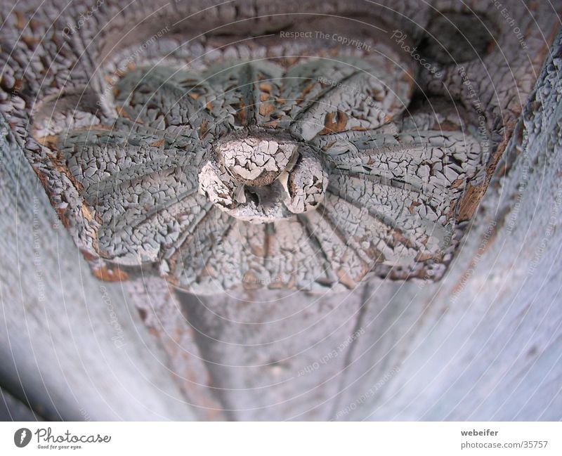 Schönheit des Verfalls hell-blau Blume Schnitzereien antik Holz Kunsthandwerk Möbel Tiefenschärfe Handwerk alt