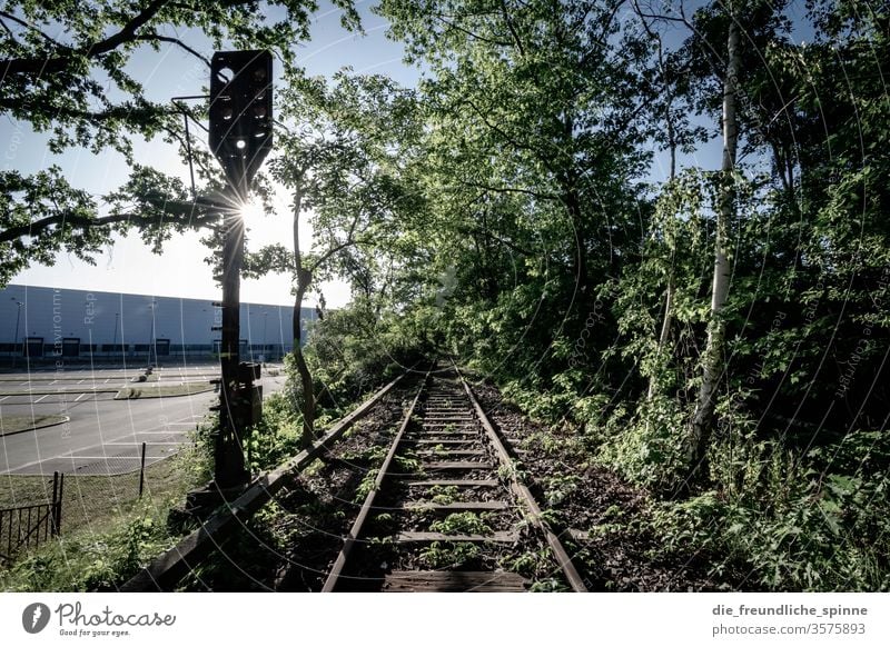 Es fährt ein Zug ins Nirgendwo II Berlin Bahnhof Stadt Architektur Hauptstadt Station Bauwerk Menschenleer Gebäude Licht lost places Schienen Schienenverkehr