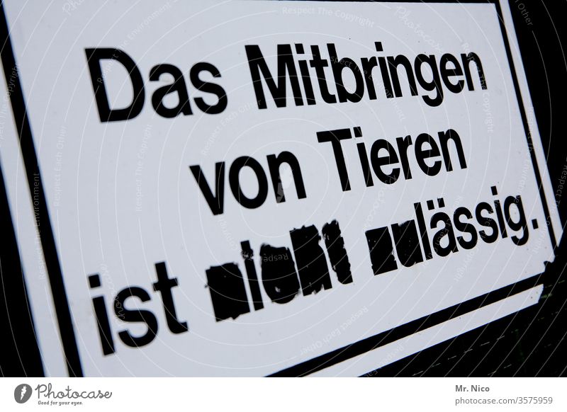 Tiere verboten Hinweisschild Schilder & Markierungen Schriftzeichen Verbote Verbotsschild Warnschild Warnhinweis Warnung tiere verboten mitbringen Überwachung