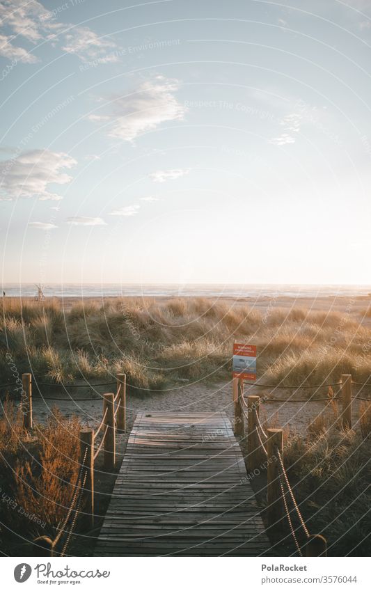 #As# Morgen am Strand Düne Dünengras dünenlandschaft Dünenkamm Dünenschutz Dünenweg Düne 45 Wege & Pfade Urlaub Urlaubsstimmung Urlaubsfoto Urlaubsort