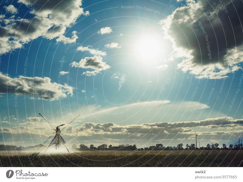 Regenmacher Bewässerung Landwirtschaft Feld Acker Horizont Himmel Wolken Wasser Beregnungsanlage Landschaft Außenaufnahme Umwelt Farbfoto blau Ackerbau Natur