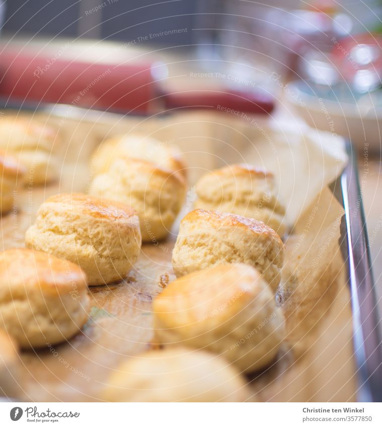 Frisch gebackene leckere Scones liegen auf dem Backblech. Im Hintergrund sieht man verschwommen eine rote Teigrolle und Glasgefäße scones Backwaren Lebensmittel