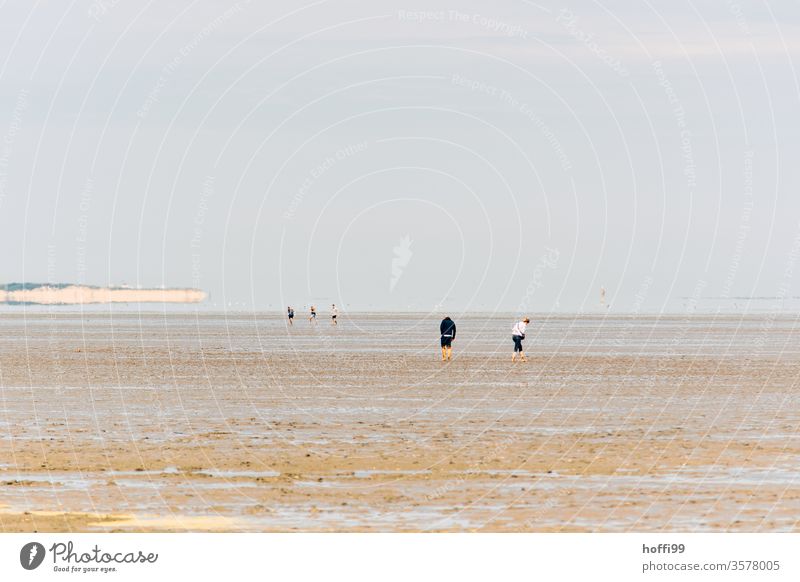 Menschen im Watt - Wattwanderung an der Nordsee Wattwandern Wattenmeer Ebbe ebbe und flut Strand Wasser Küste Sand Horizont Gezeiten Meer Flut Schlick Schlamm