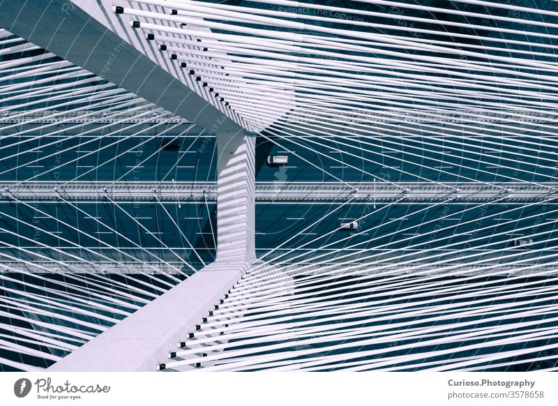 Luftaufnahme der Most-Redzinski-Brücke über die Oder in Wroclaw (Breslau), Polen. Antenne oben Top Perspektive Verkehr grün Turm malerisch Boden industriell