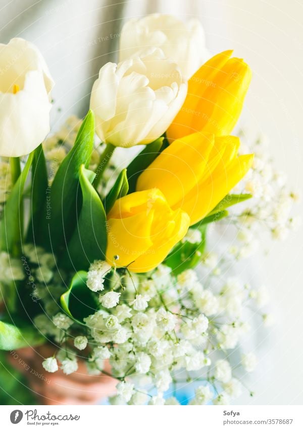 Frau hält Tulpenstrauß. Der Tag der Frau Blume Haufen Mutter geben Frühling Ostern Hände geblümt weiß gelb Dame März Geschenk Einladung Gruß Postkarte