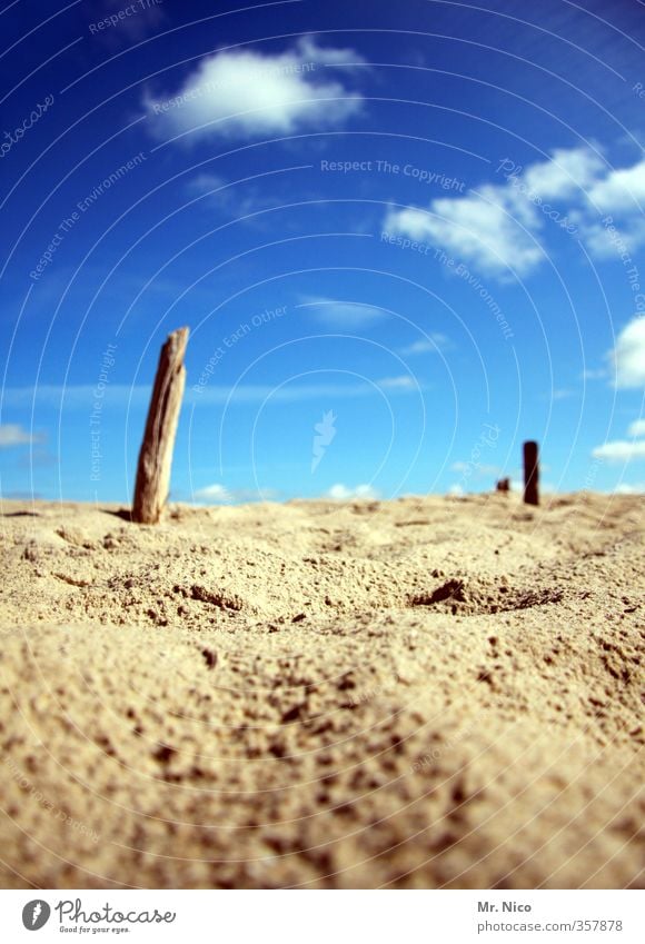 sommer Ferien & Urlaub & Reisen Sommer Sommerurlaub Strand Umwelt Natur Sand Himmel Wolken Schönes Wetter Wärme Pfosten Düne Erholung trocken blau Fernweh