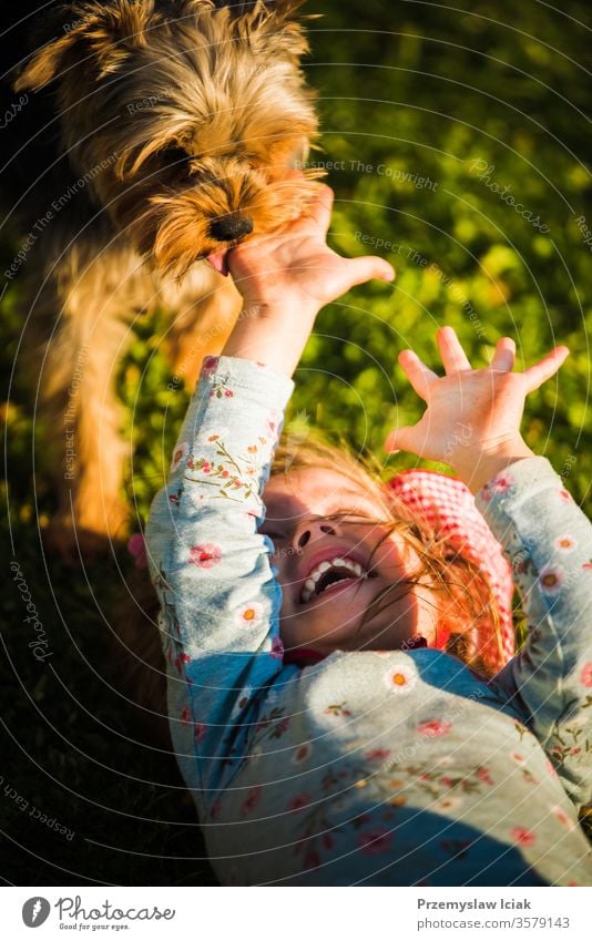 Porträt eines schönen kleinen 2-jährigen Mädchens, das im Gras liegt und mit einem Yorkterrier lacht. Terrier Kind lecken Kindheit niedlich Spielen Hund