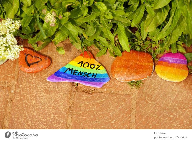 100 % Mensch - oder bunt bemalte Steine auf einem Weg kreativ Farbe Farbfoto mehrfarbig bunt gemischt grün rot blau farbenfroh gelb orange Nahaufnahme Natur